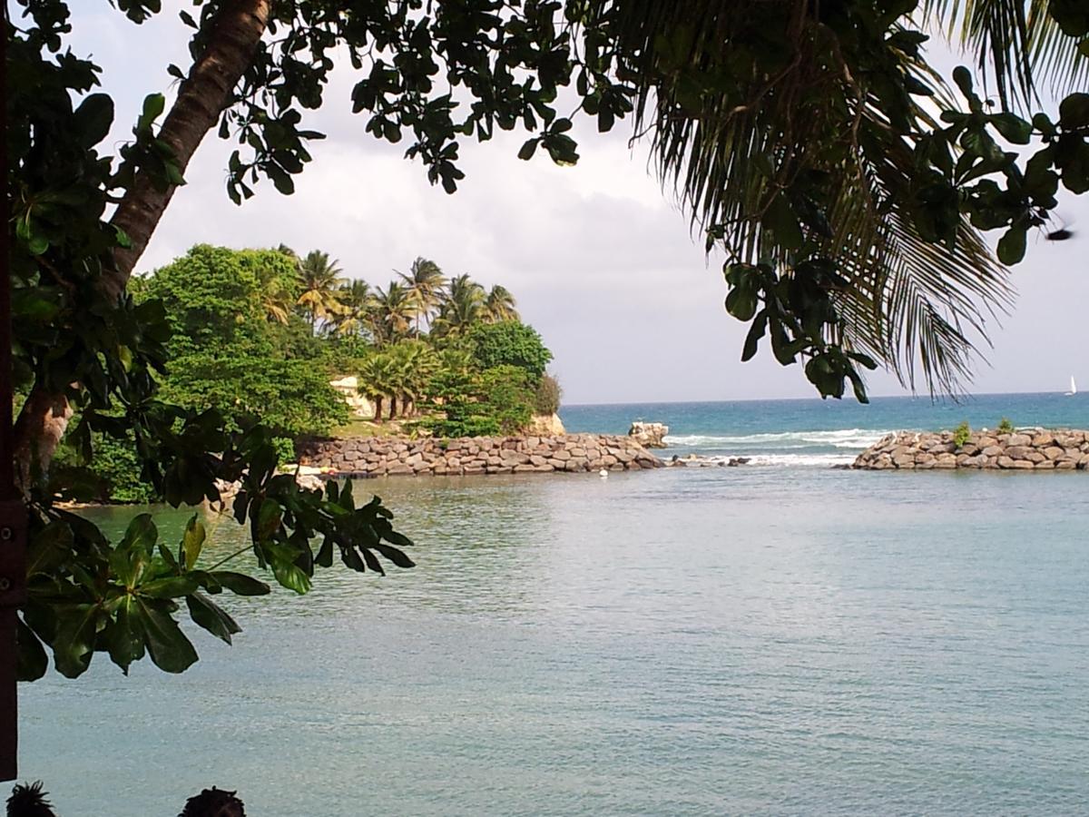 Villa Iguanina120M2-Wifi-300M Plage-4 Pers Le Gosier  Exterior photo